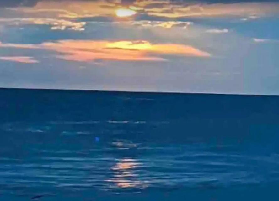 A Paradise For - Panama City Beach